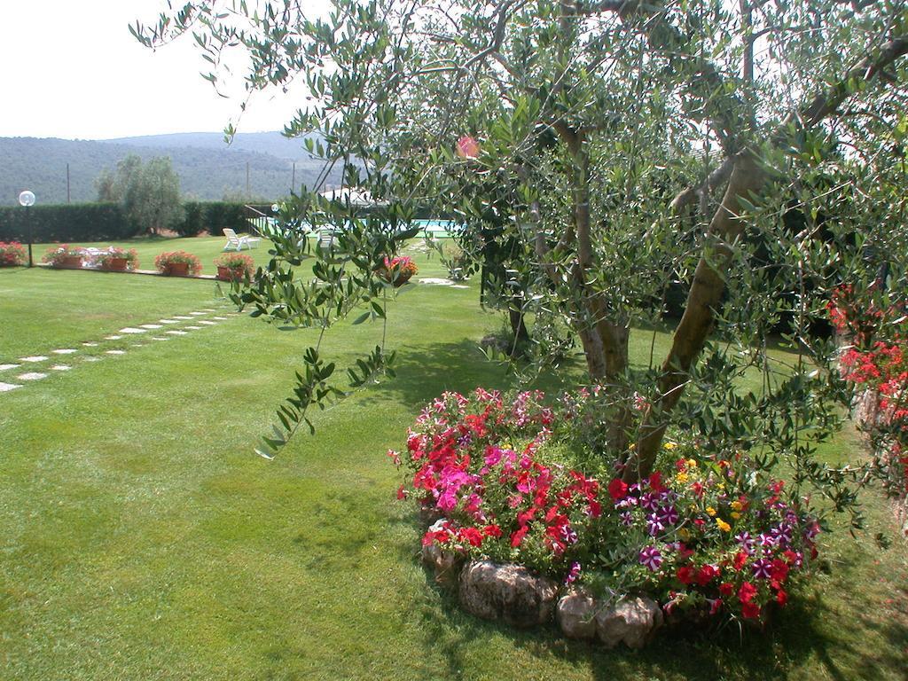 Agriturismo Arnano Sovicille Zewnętrze zdjęcie